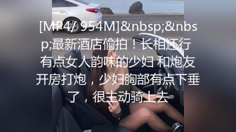 [MP4/ 335M] 超顶乱伦偷腥我的母狗姐姐 臣服在淫威下的姐姐穿红边黑丝来酒店赴约