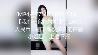 [MP4/577MB]2022.3.18，【我有一台拖拉机】，2600人民币，刚下海没多久的白领小姐姐，上插下抠