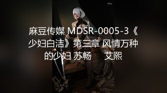 麻豆传媒 MDSR-0005-3《少妇白洁》第三章 风情万种的少妇 苏畅❤️艾熙