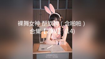 裸舞女神 酥软软（含啪啪）合集【29V】 (14)