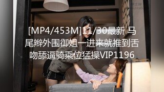 [MP4/453M]11/30最新 马尾辫外围御姐一进来就推到舌吻舔逼骑乘位猛操VIP1196