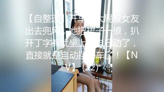 【自整理】开车带大屁股女友出去兜风，她把裙子一撩，扒开丁字裤就坐上来自己动了，直接就是自动挡开车了！【NV】 (22)