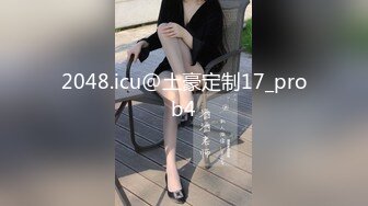 2048.icu@土豪定制17_prob4