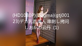 (HD1080P)(Dogma)(gtj00123)デカ乳首美人 串刺し拷问 しおかわ云丹  (1)