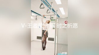 V-王者荣耀 瑶 时之祈愿