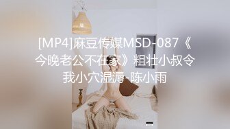 [MP4]麻豆传媒MSD-087《今晚老公不在家》粗壮小叔令我小穴湿溽-陈小雨