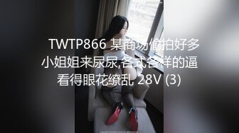 ✅TWTP866 某商场偷拍好多小姐姐来尿尿,各式各样的逼看得眼花缭乱 28V (3)