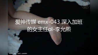 爱神传媒 emx-043 深入加班的女主任ol-李允熙