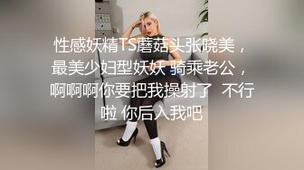 性感妖精TS蘑菇头张晓美，最美少妇型妖妖 骑乘老公，啊啊啊你要把我操射了  不行啦 你后入我吧