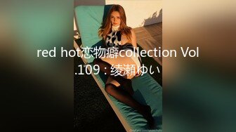 red hot恋物癖collection Vol.109 : 绫瀬ゆい