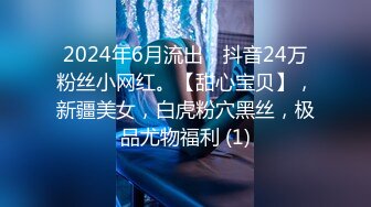 2024年6月流出，抖音24万粉丝小网红。【甜心宝贝】，新疆美女，白虎粉穴黑丝，极品尤物福利 (1)